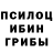 Псилоцибиновые грибы Psilocybine cubensis Saulius L.