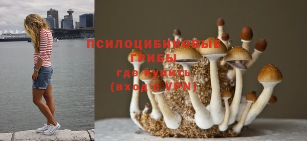 винт Лагань