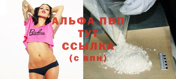 винт Лагань