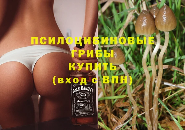 крисы Ладушкин