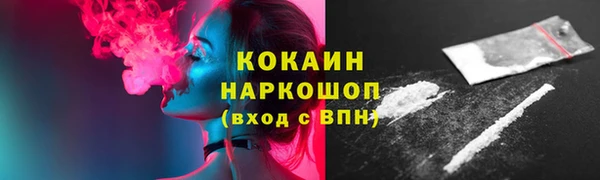 винт Лагань