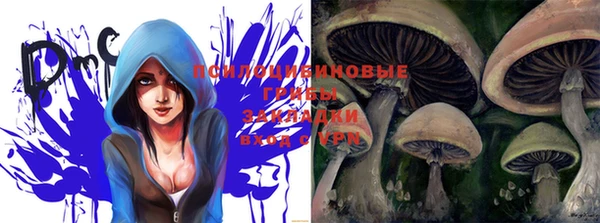 винт Лагань