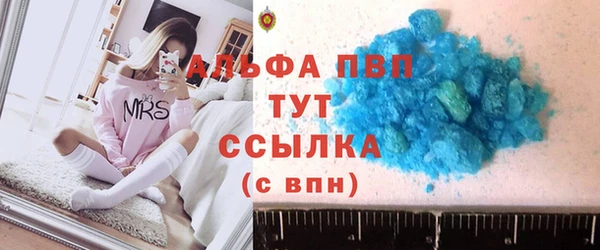 винт Лагань