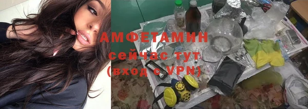 молекула духа Лабытнанги