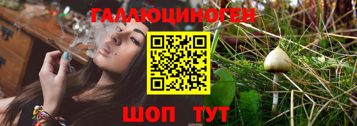 Нижний Новгород  Псилоцибиновые грибы GOLDEN TEACHER  Вход с VPN 