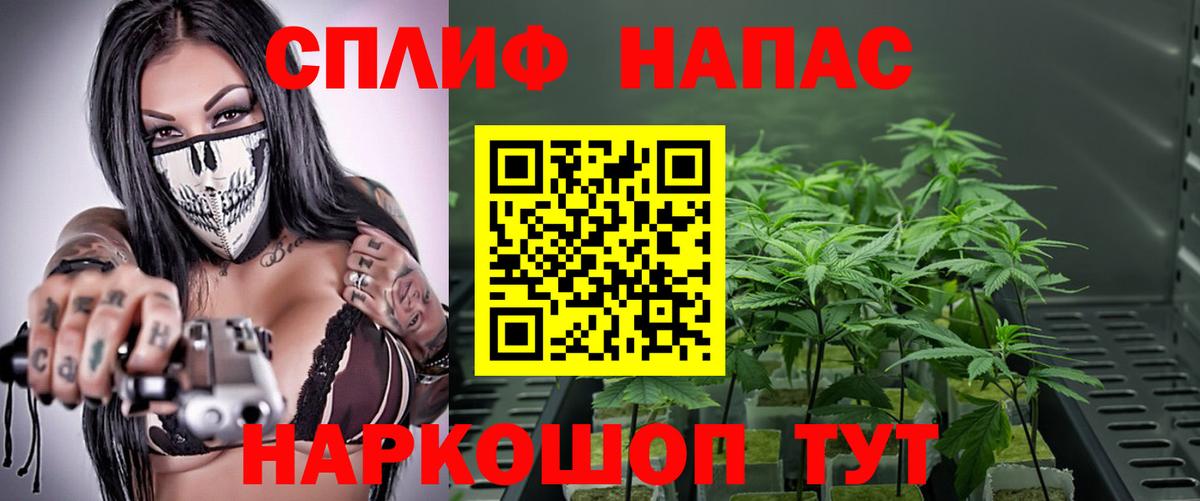 Марихуана сатива  Нижний Новгород  Каннабис гибрид  Бошки марихуана сатива  Бошки марихуана Ganja 